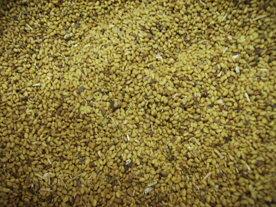 Alfalfa Meal — organic soil amendment for home gardens