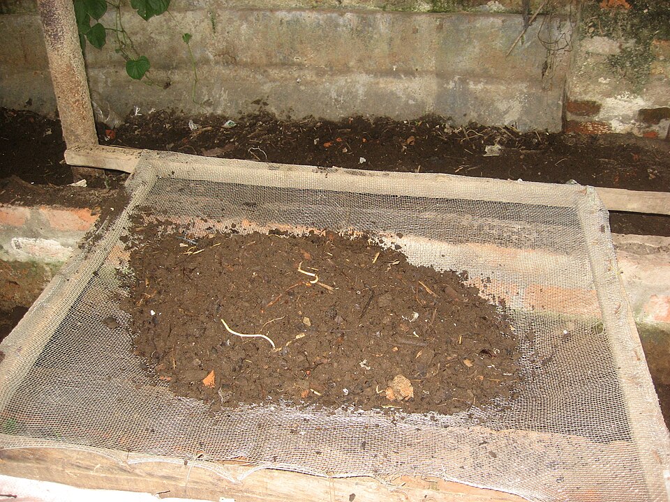 Raised garden beds with rich soil